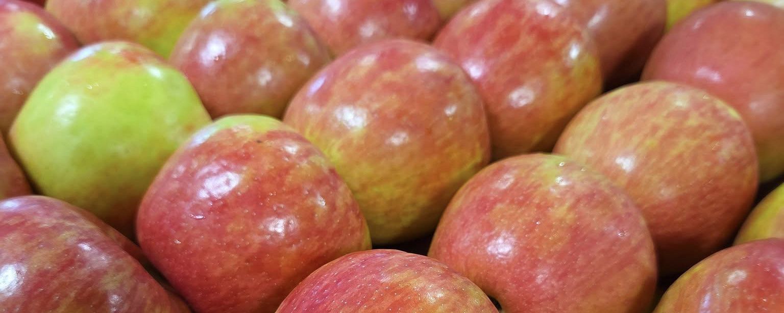 BC Tree Fruits to Thrive Under New Leadership as Algoma Orchards Expands to the Okanagan